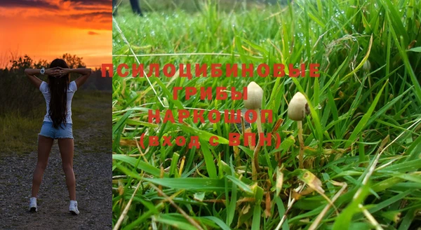 молекула духа Алзамай